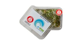 סלט אצות ים