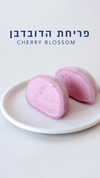 מוצ'י פריחת הדובדבן